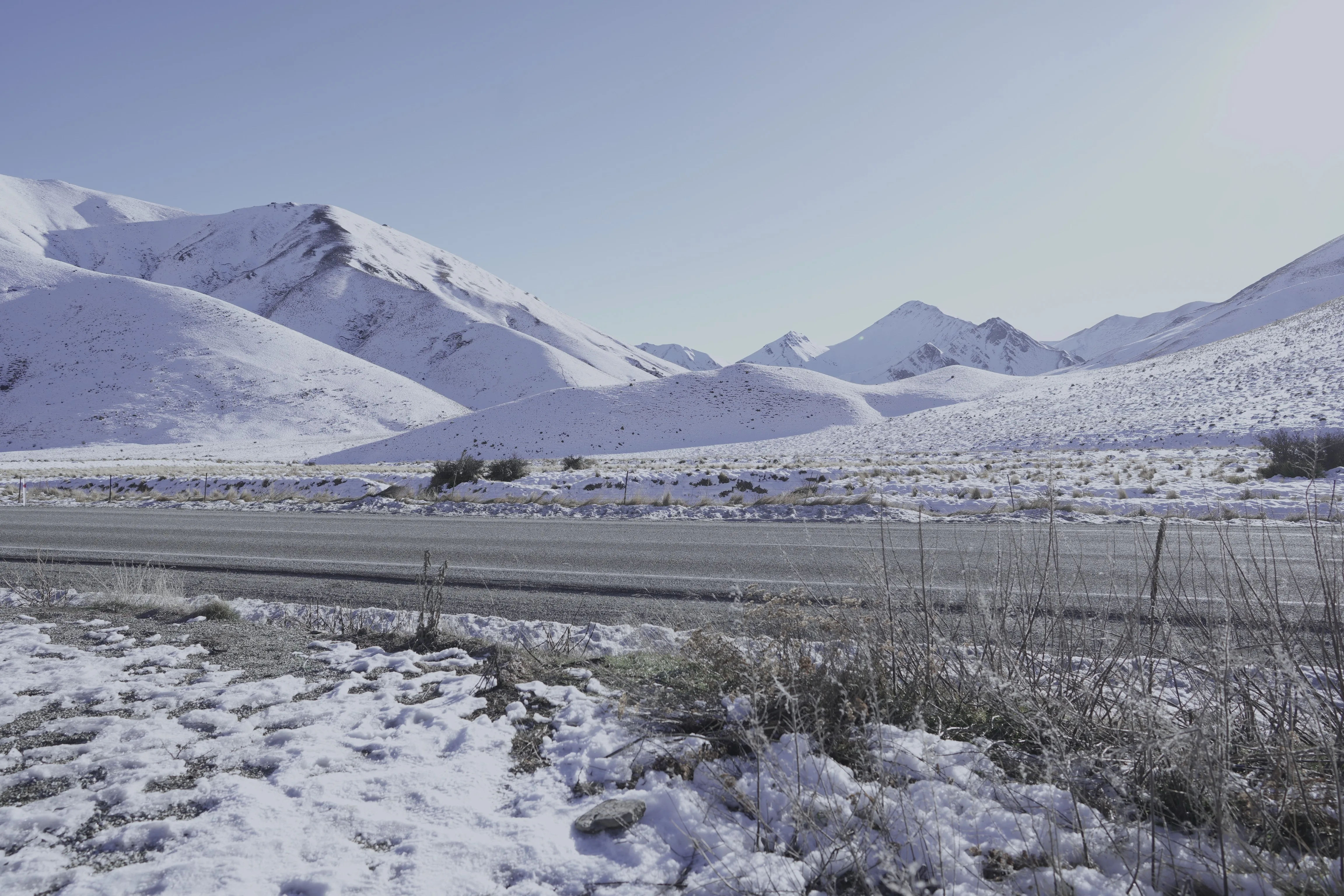 Contemplative New Zealand landscape